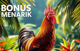 daftar situs sabung ayam dengan bonus menarik